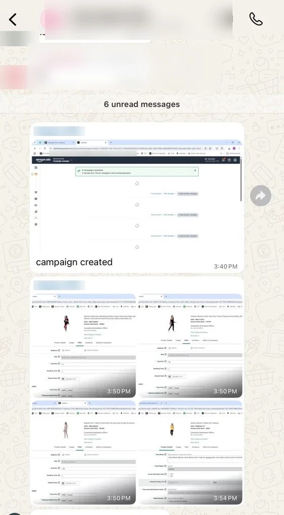 Ad campaign set up and shared on WhatsApp